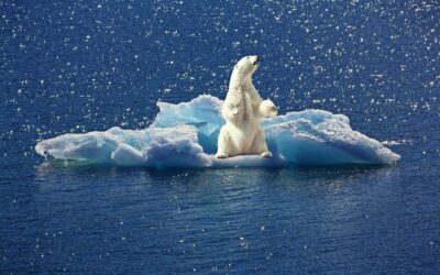 Nieuw klimaatrapport IPCC