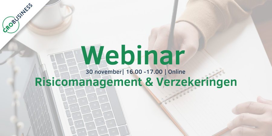 Webinar – Risicomanagement en verzekeringen 30 november